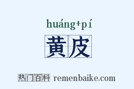 黄皮是什么意思的图片